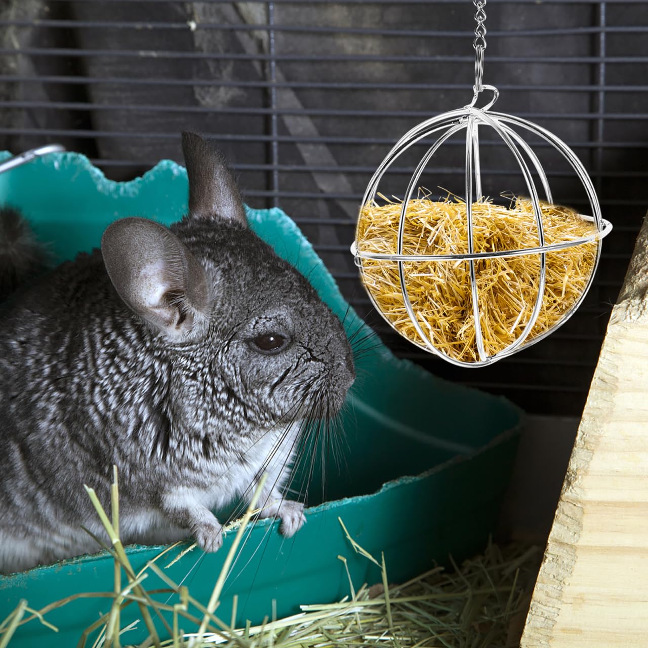 Balacoo Chinchilla Hay Feeder - Hanging Rabbit Hay Feed Dispenser, Stainless Steel Guinea Pig Holder Ball Feeder Toy for Bunny Guinea Pig Hamster Rat