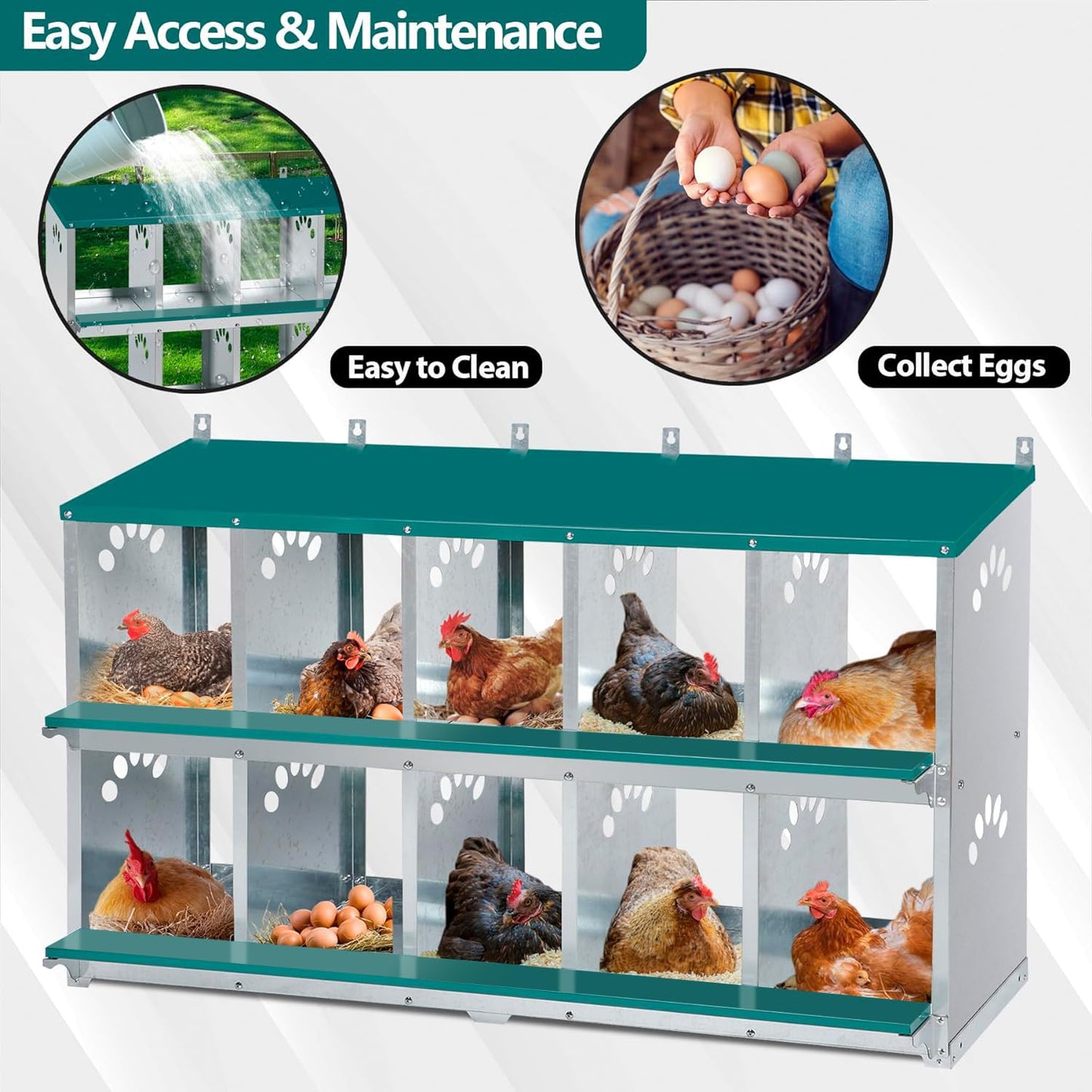 Toriexon Chicken Nesting Box, 10 Compartment Nesting Box, 10 Room Metal Nesting Boxes for Chicken, Green