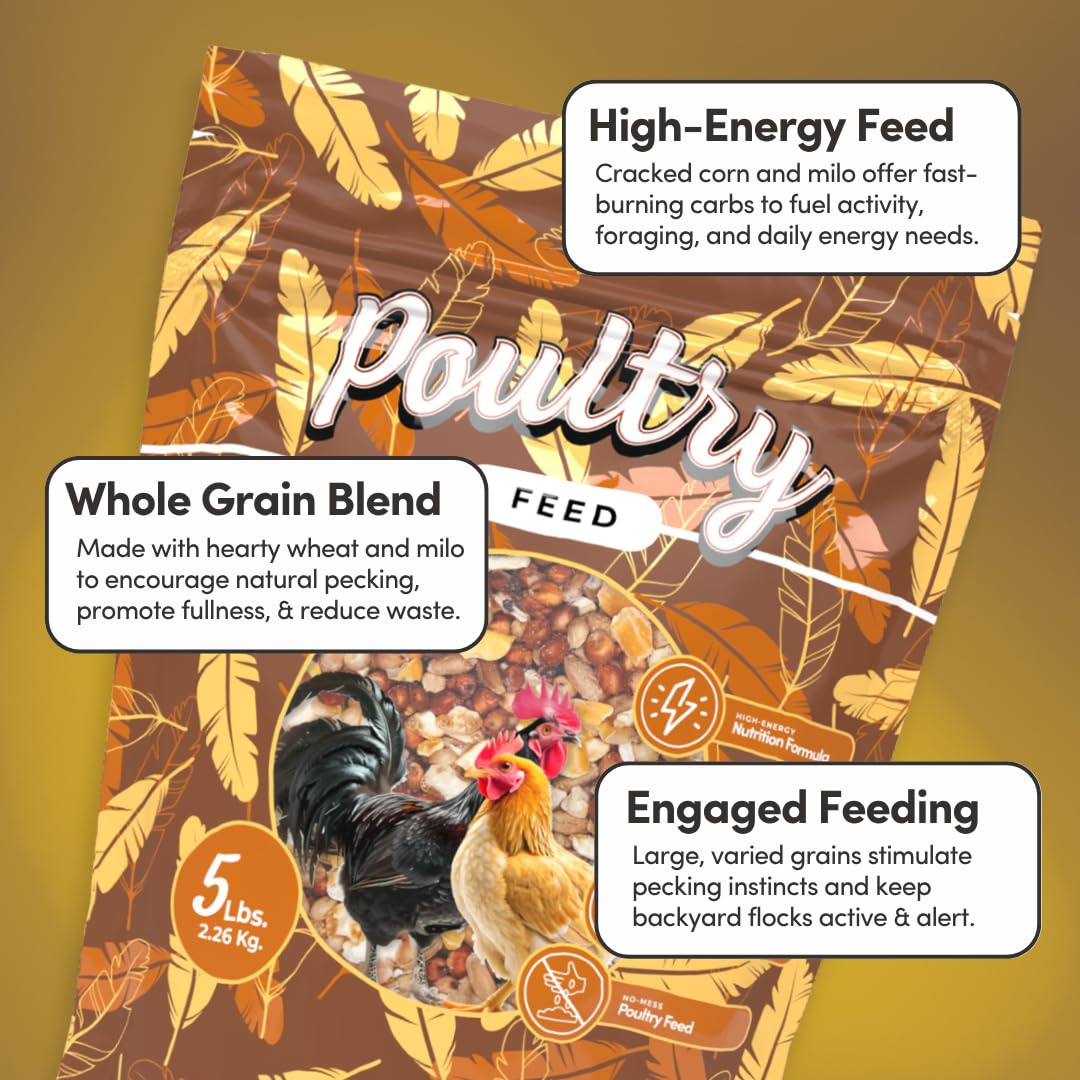 Mycelium Poultry Feed (5 LB Bag) | Organic 3-Grain Scratch for Chickens, Hens, Ducks & Backyard Flocks | High-Energy Daily Nutrition | Cracked Corn, Wheat & Milo | Non-GMO, Made in USA