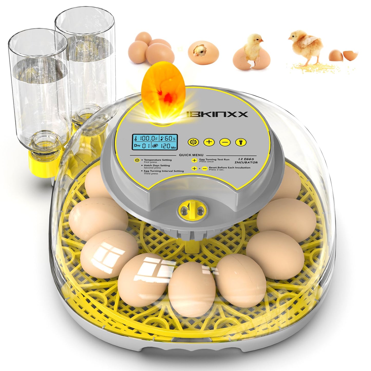 IBKINXX Incubator for Hatching Eggs-12 Egg Capacity, Automatic Egg Turner, Temperature & Humidity Control, 360° Viewing for Chicken, Duck and Quail Eggs