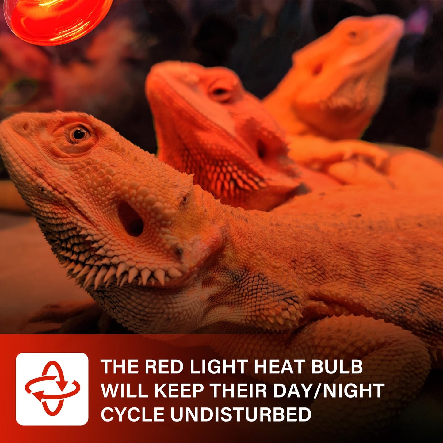 TobeBright Red Reptile Heat Bulb,100W Infrared Heat Lamp Bulbs for Chickens,Red Basking Spotlight Reptile Night Heat Bulb, Dimmable Reptile Light Bulb for Lizard Bearded Dragon Leopard Gecko-2Pack