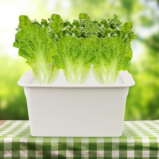 Hydroponics Grower Kit DIY Self Watering Indoor Hydroponics Tools Hydroponic System Planting Container Include Aquarium Air Pump Buoy Planting Box