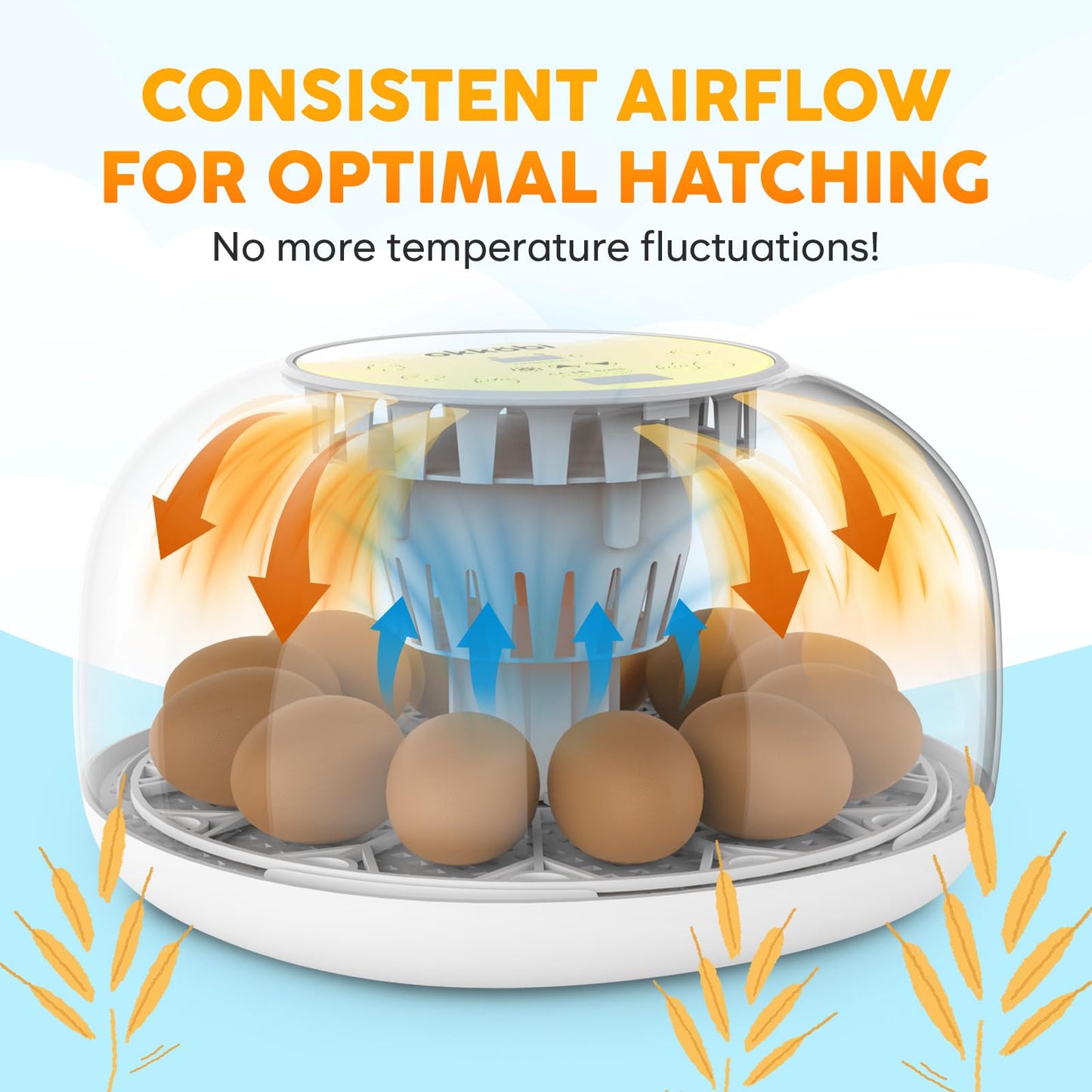 Okkobi M12 Egg Incubator with Automatic Turner and Humidity Control - 12/24 Eggs, 360° View, Easy to Use and Clean - Incubadora de Huevos de Gallina - Incubators for Hatching - White & Yellow