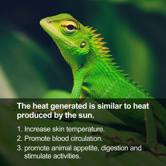 REPTI ZOO Reptile Basking Heat Lamp Bulb, 100W Splashproof Energy Saving Deep Heater Non-Luminous Carbon Infrared Heat Bulb for Reptile Amphibians