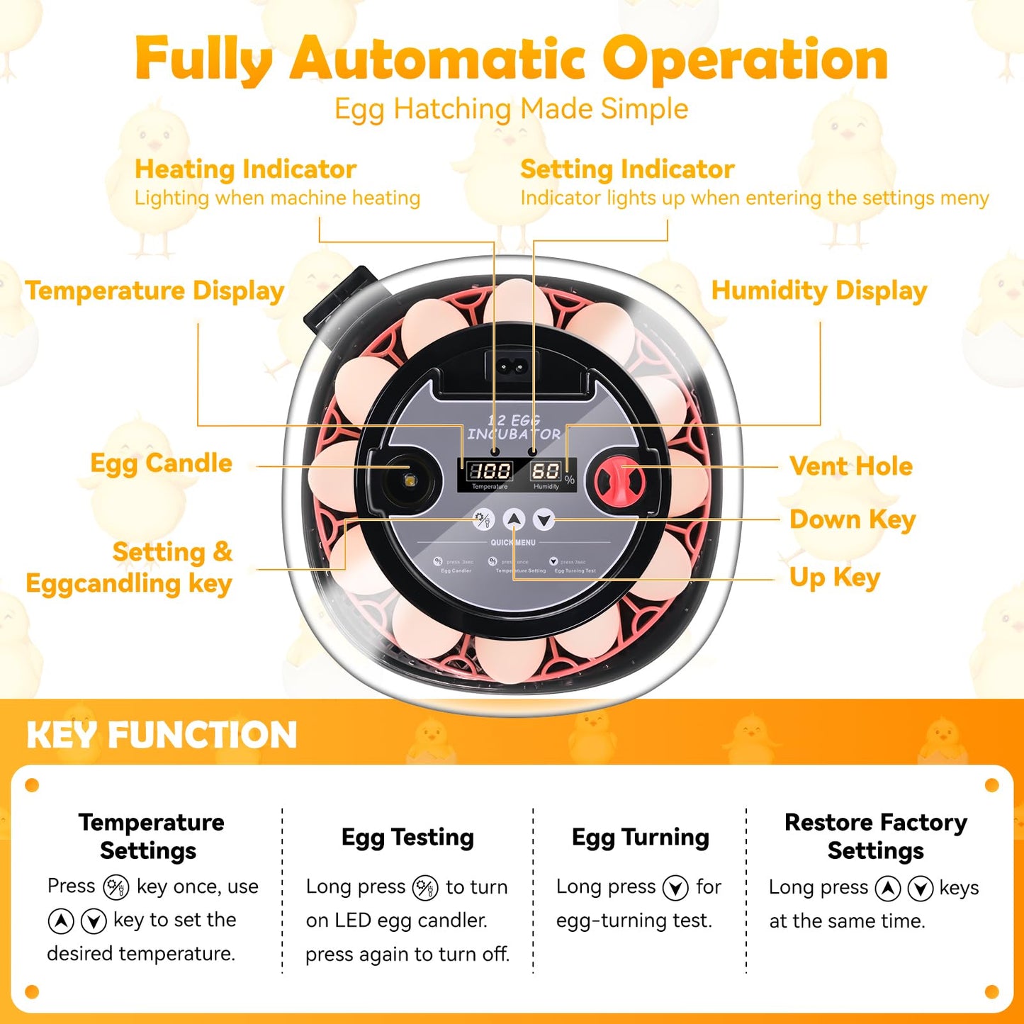 Incubator for incubating Eggs,12 Egg with Temperature and Humidity Control, Automatic Egg Turner, Egg Candler, External Water Bottle Refill, 360° Clear View, Hatching Chicken Duck Quail Bird