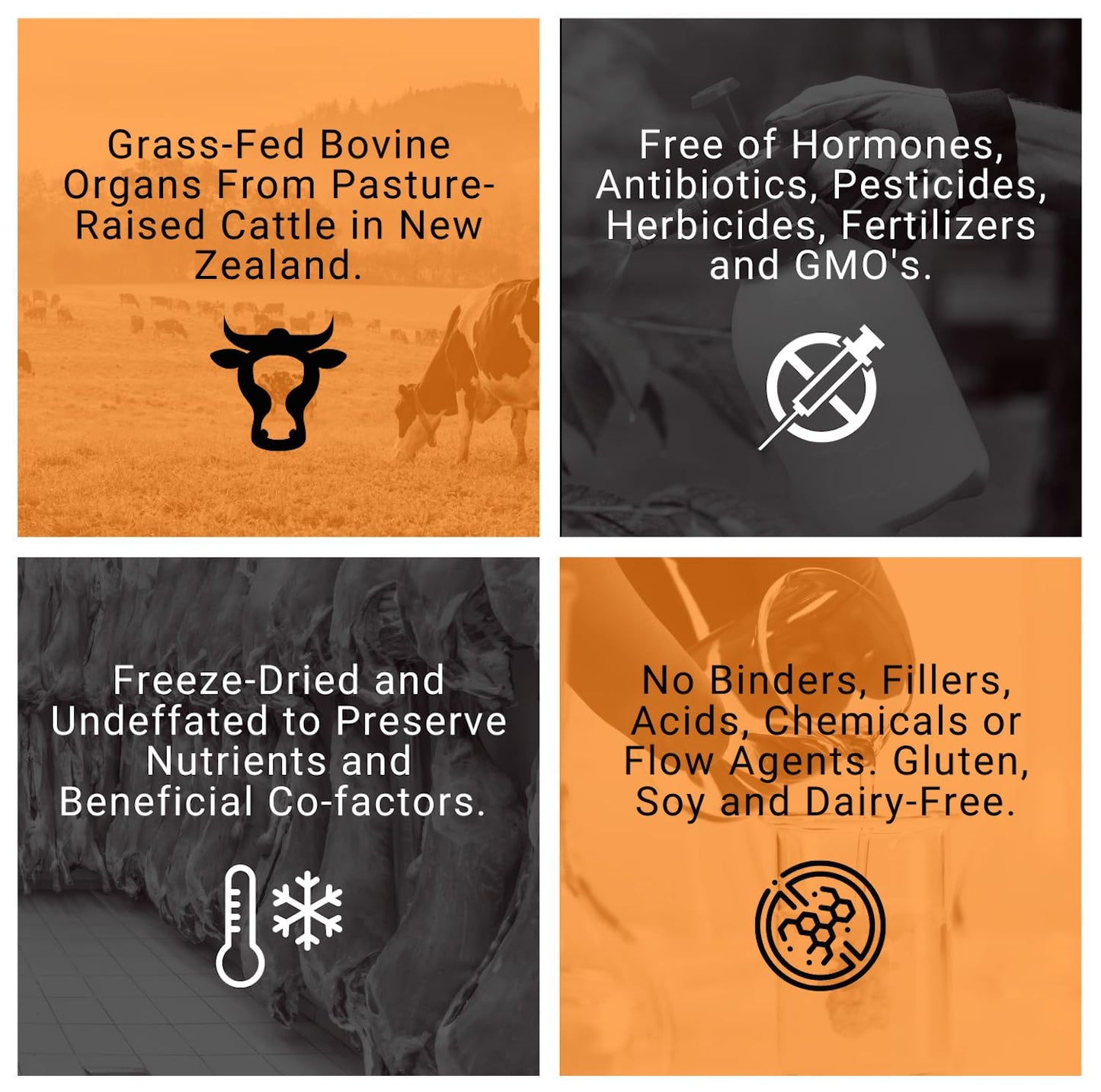 PRIMALRX Bovine Organs: GrassFed Beef Organ Supplement (B12 Vitamins, B Complex Vitamins, Heme Iron Supplements, Vitamin A Supplements, Folate Supplements, Selenium and Zinc Supplements) – 90g Powder