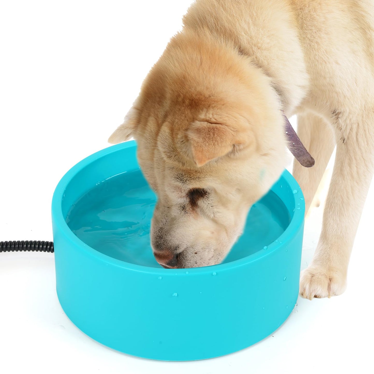 3.2L Heated Water Bowl for Pets, Outside Heated Dog Bowl, Large Heated Dog Water Bowl Outdoor, Thermostatic Control Heated Cat Bowl, Anti-Freeze Heated Pet Water Bowl for Chicken,Duck,Goose,Rabbit
