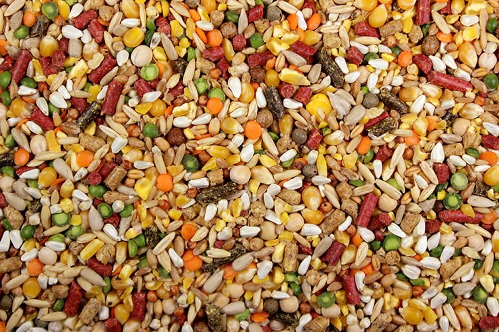 DelightFood Chicken Feed, Whole Ingredient Chicken Treat, Wied Variety of Grains Poultry Feed (10 Pound (Pack of 1), High-Octain (High Protein) with Cracked Corn)
