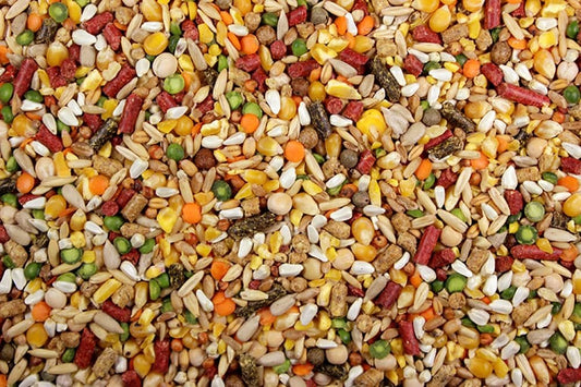 DelightFood Chicken Feed, Whole Ingredient Chicken Treat, Wied Variety of Grains Poultry Feed (10 Pound (Pack of 1), High-Octain (High Protein) with Cracked Corn)