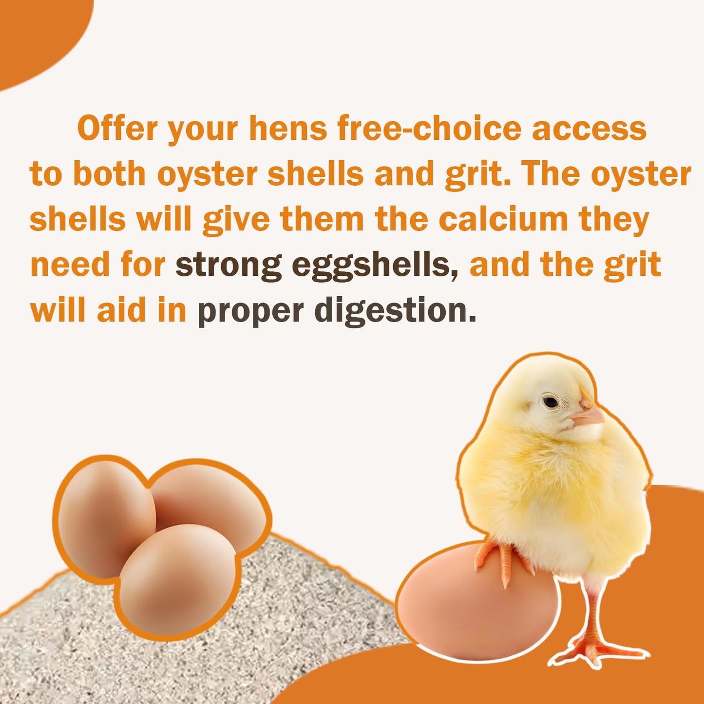 Chicken Oyster Shell Feeder and Grit Feeder Crushed Eggshells Chicken Feeder Chicken coop Accessories Automatic Chicken Feeder