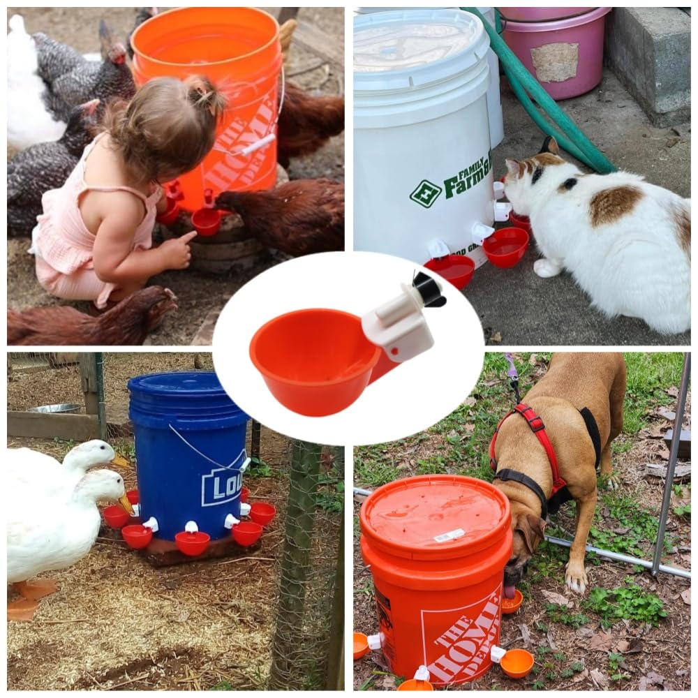 Chicken Waterer Cups, 12 Packs Poultry Water Feeder with Drill, Large Poultry Waterer Automatic Waterer for Chicken Coop, Duck, Chicks, Goose, Turkey, Bunny, Bird (Red, 12 Pack)