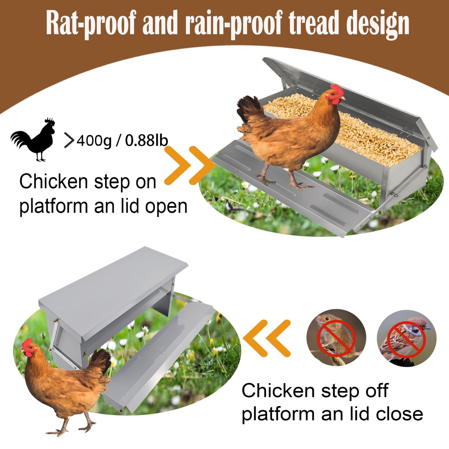 kathson Automatic Treadle Chicken Feeder,11lbs Pedal Chicken Feeder Rat Proof Poultry Feeder with Rainproof Lid Stainless Steel Treadle Feeder for Chickens Pheasants Ducks