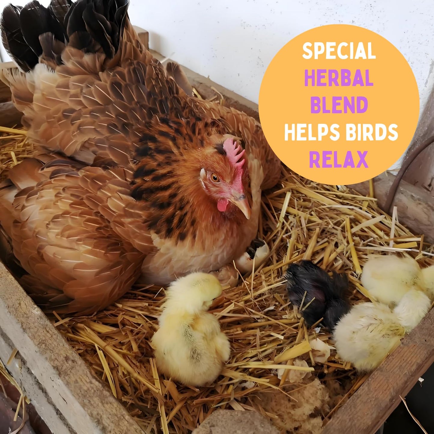 YJXIN Chicken Nesting Herb Blend 10oz Natural Coop Care & Comfort for Happy Hens