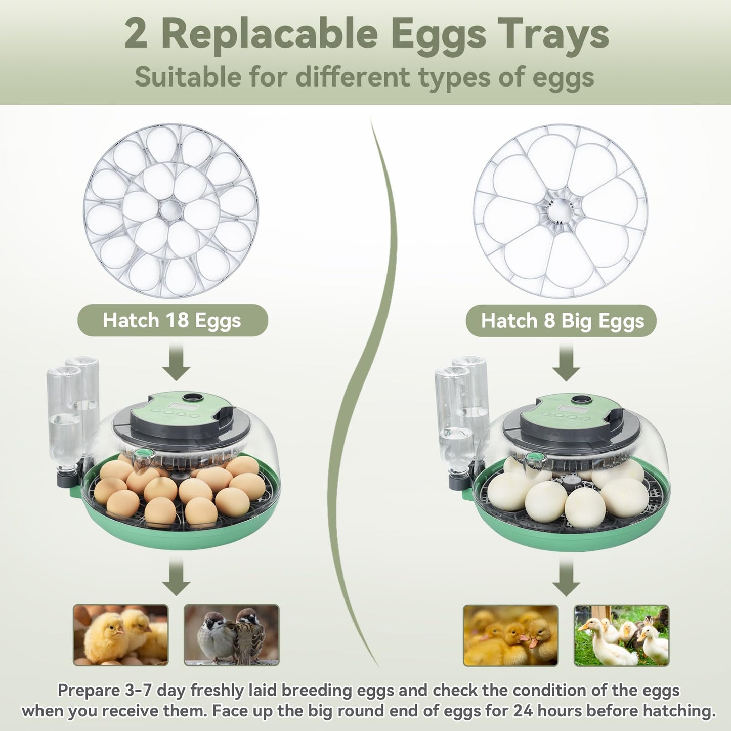 18 Egg Incubator with Automatic Egg Turning and Humidity Control - Egg Incubator for Hatching Eggs Chicken Duck Goose Quail Turkey Parrot, Fit for Farm, Lab, Science Classroom, Home（Green）