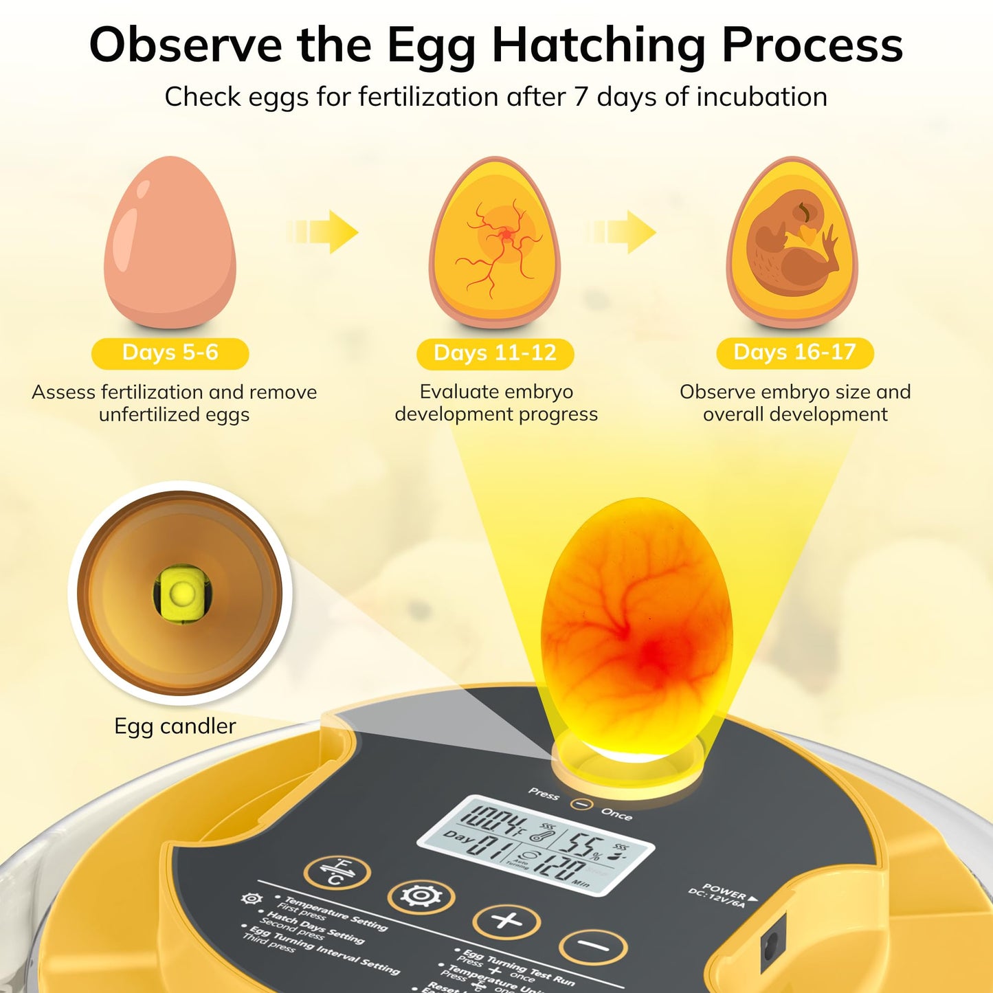 18 Egg Incubator with Automatic Egg Turning and Humidity Control, Chicken Incubator for Hatching Eggs with Temperature Display, Auto Record, Egg Candler, Extra 2 Water Bottles & 2 Egg Trays