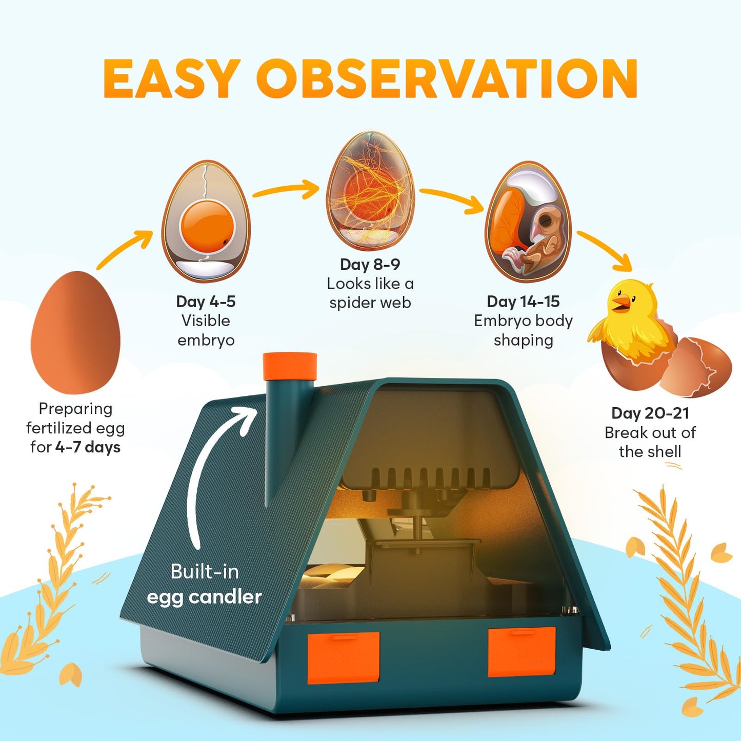 Incubator for Hatching Eggs - Ideal for All Ages - Automatic Turner and Humidity Control - Integrated Candler - 10 Eggs - Okkobi M10 - Green & Orange