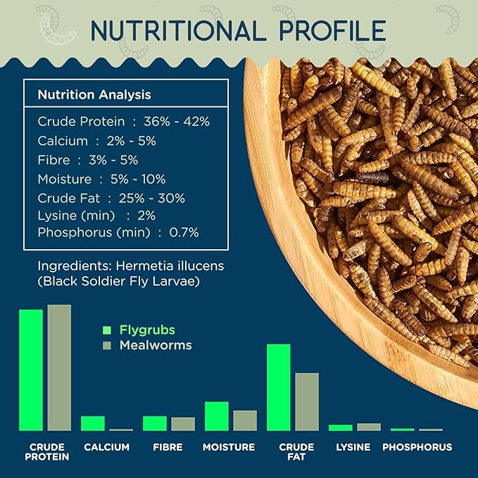 FLYGRUBS 10 lb Dried Black Soldier Fly Larvae - High Calcium Chicken Feeder - 85X More Calcium, Non-GMO Meal Worms for Wild Birds, Ducks, Turkeys, Quails, Turtles - Nutrient-Rich BSFL