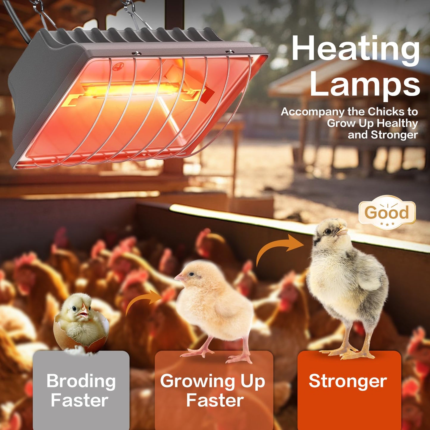 Sohveta 250W Chicken Coop Heater for Chicks Ducks Dog Kennel, Cat Bed, Reptiles, 2 Heating Mode Heat Lamp Warmer for Chicken Coop in Winter, Inside and Outdoor Pet Total 2 Heating Tube as Backup Lamp