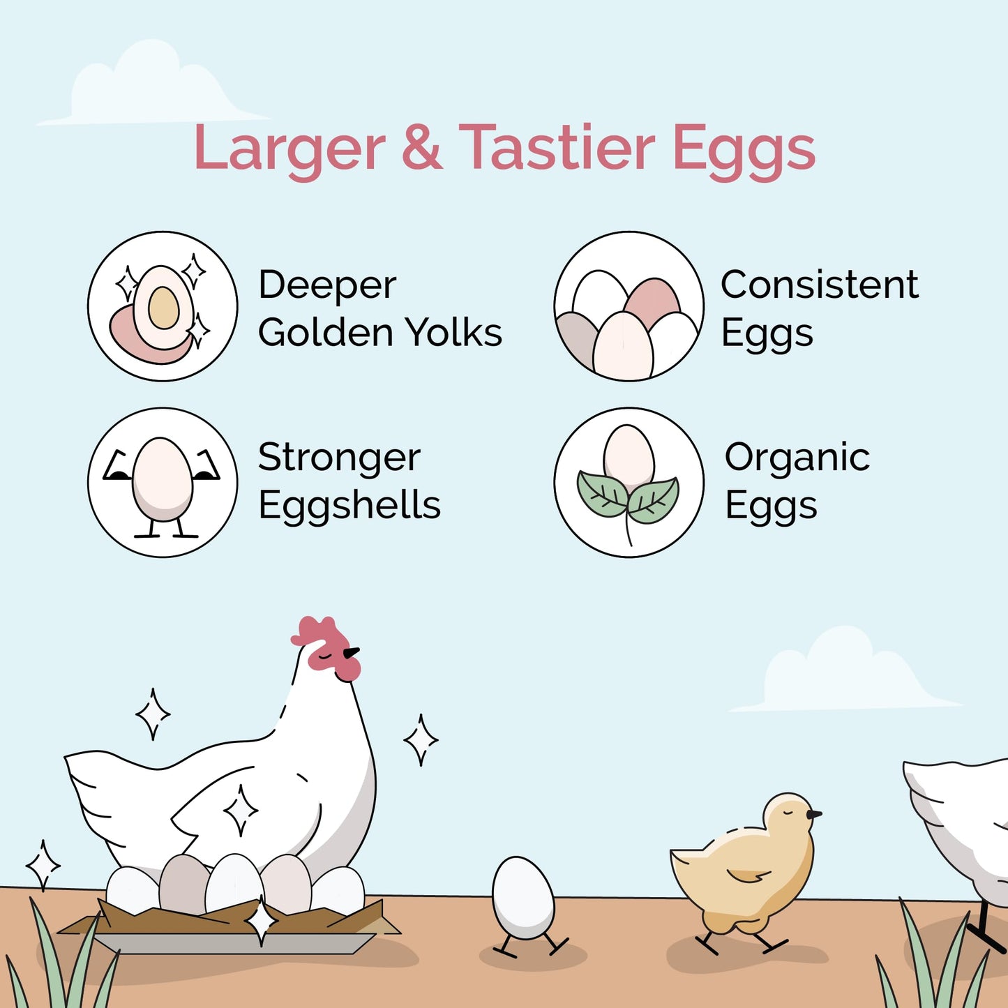 Mile Four Chicken Grit for Layer & Grower Chickens Age 8-20+ Weeks - 100% Natural Mineral Chicken Grit Quartzite, Poultry Grit, USA Mined, 4 lbs