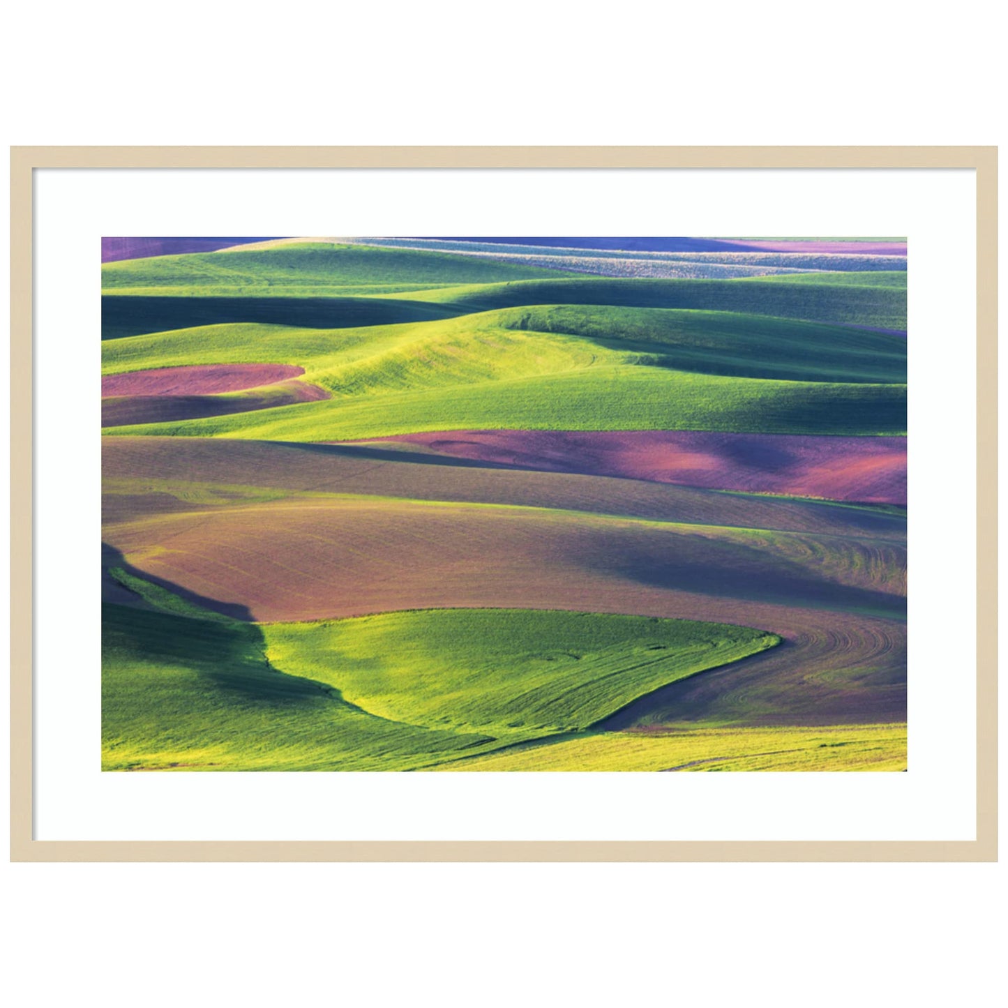 Amanti Art Framed Wall Art Print 30x41 USA, Washington State, Palouse by Terry Eggers, Landscapes Wall Art, Rustic Farmhouse Decor, X-Large Poster Painting Artwork for Living Room, Bedroom