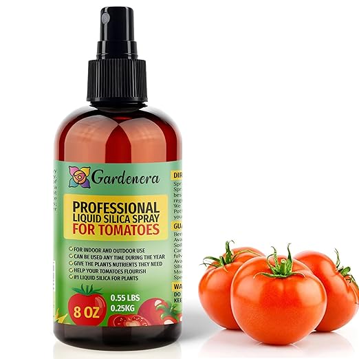 𝐒𝐔𝐏𝐄𝐑𝐈𝐎𝐑 Liquid Silica Boost Fertilizer and Supplement Spray for Tomatoes Plants – Pre-Mixed, Ready-to-Use Liquid Silicon Plant Superfood Mist for Indoor & Outdoor Plants – 8oz