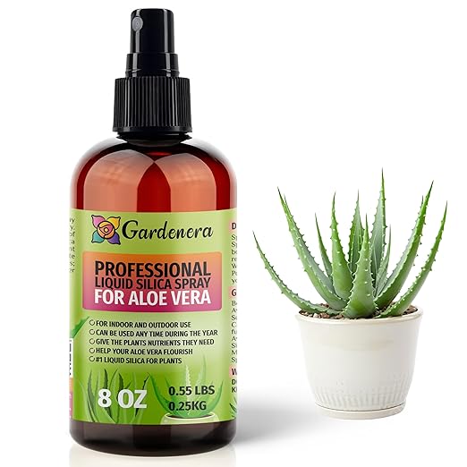 𝐒𝐔𝐏𝐄𝐑𝐈𝐎𝐑 Liquid Silica Boost Fertilizer and Supplement Spray for Aloe Vera Plants – Pre-Mixed, Ready-to-Use Liquid Silicon Plant Superfood Mist for Indoor & Outdoor Plants – 8oz