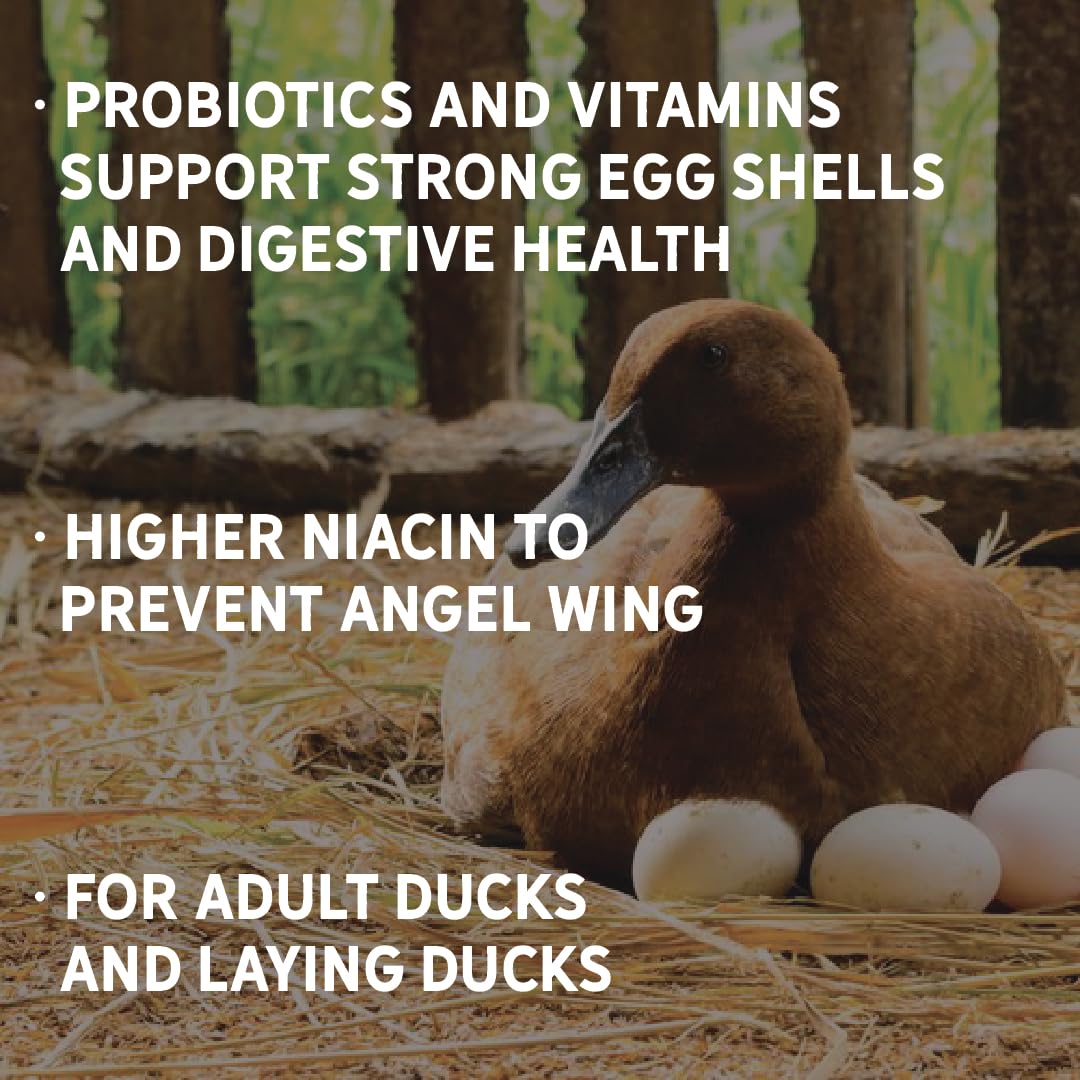 New Country Organics - Duck Layer Feed - Adult & Laying Duck Food - Soy-Free, 17% Protein - Certified Organic & Non-GMO - 40 lbs