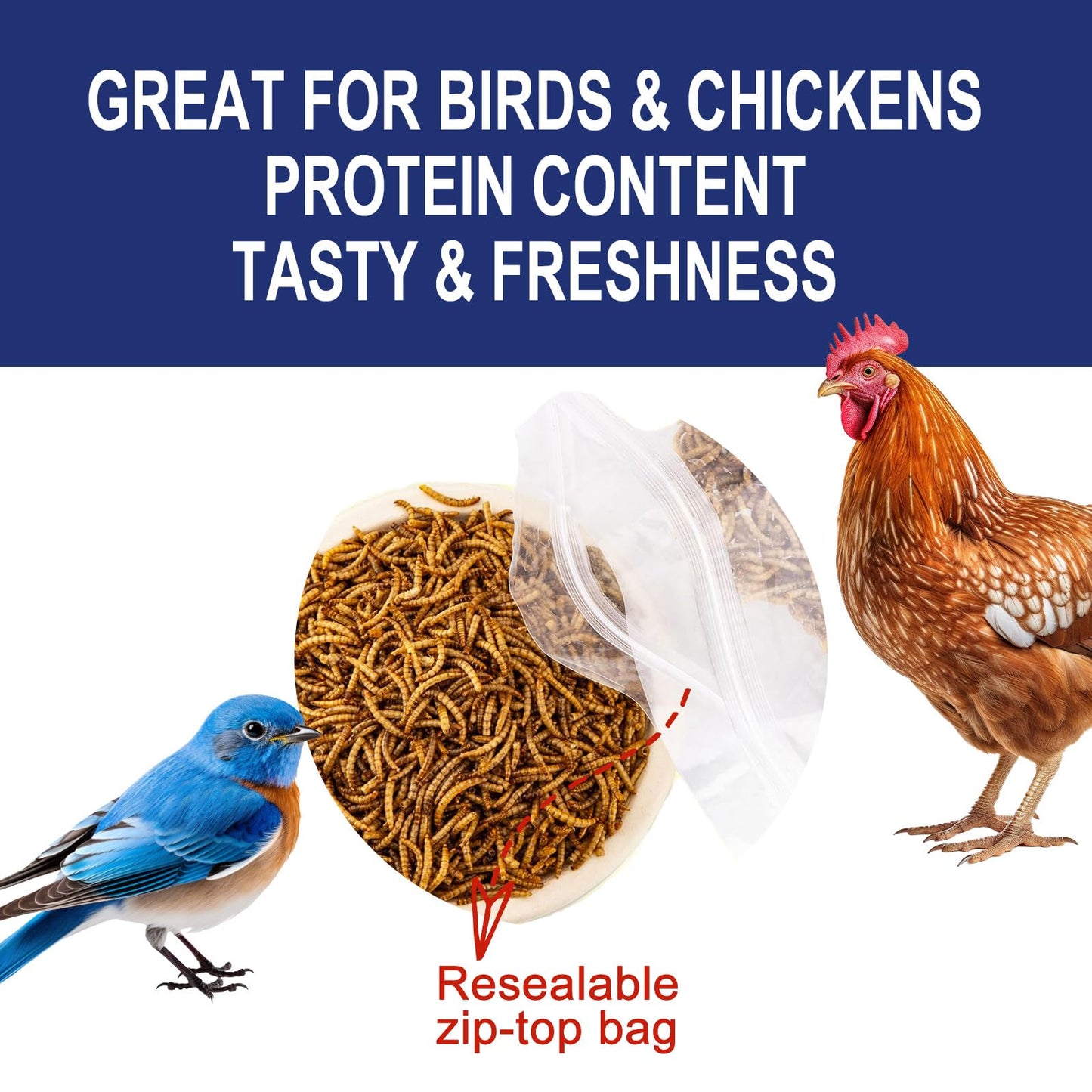 RANZ 2LBS Non-GMO Dried Mealworms for Chickens, High Protein Meal Worms, Premium Chicken Feed, Whole Large Mealworms for Blue Birds, Ducks, Fish