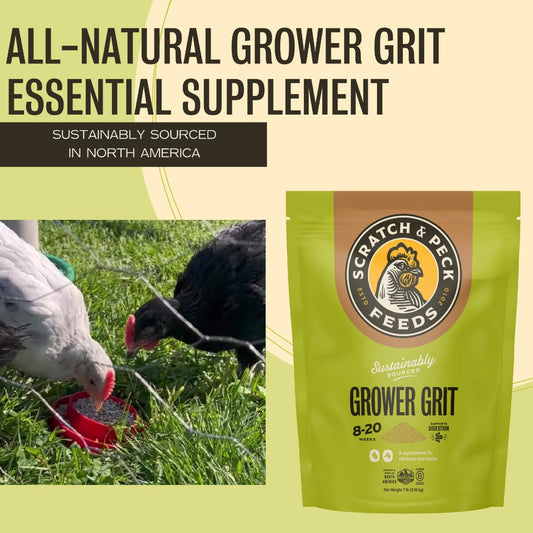 Scratch and Peck Grower Grit Supplement for Chickens and Ducks - 7 lbs Bag - Essential Supplement for Gizzard and Digestive Health - Sustainably Sourced