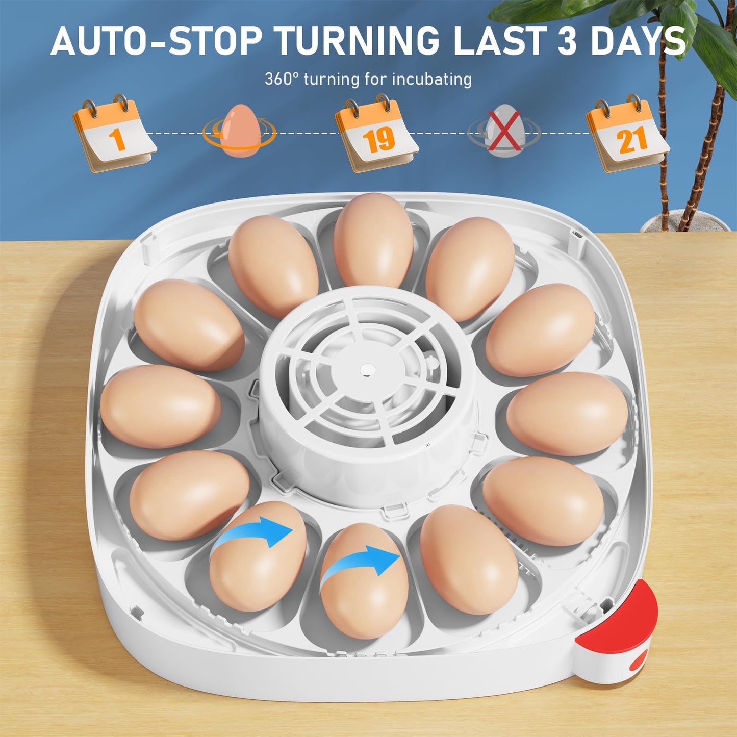 Sailnovo 12 Egg Incubators for Hatching Eggs, Chicken Egg Incubator with Automatic Egg Turning, Temperature Control, Humidity Display and Egg Candler, for Chicken Quail Duck, Fit Classroom, Home, Farm