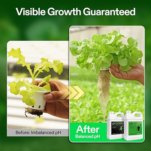 VIVOSUN pH Up & pH Down Kit, 1 Quart Each, pH Control Kit for Balanced pH Level and Optimal Nutrient Uptake, pH Adjuster Liquid Fertilizer for All Plants and All Growing Systems