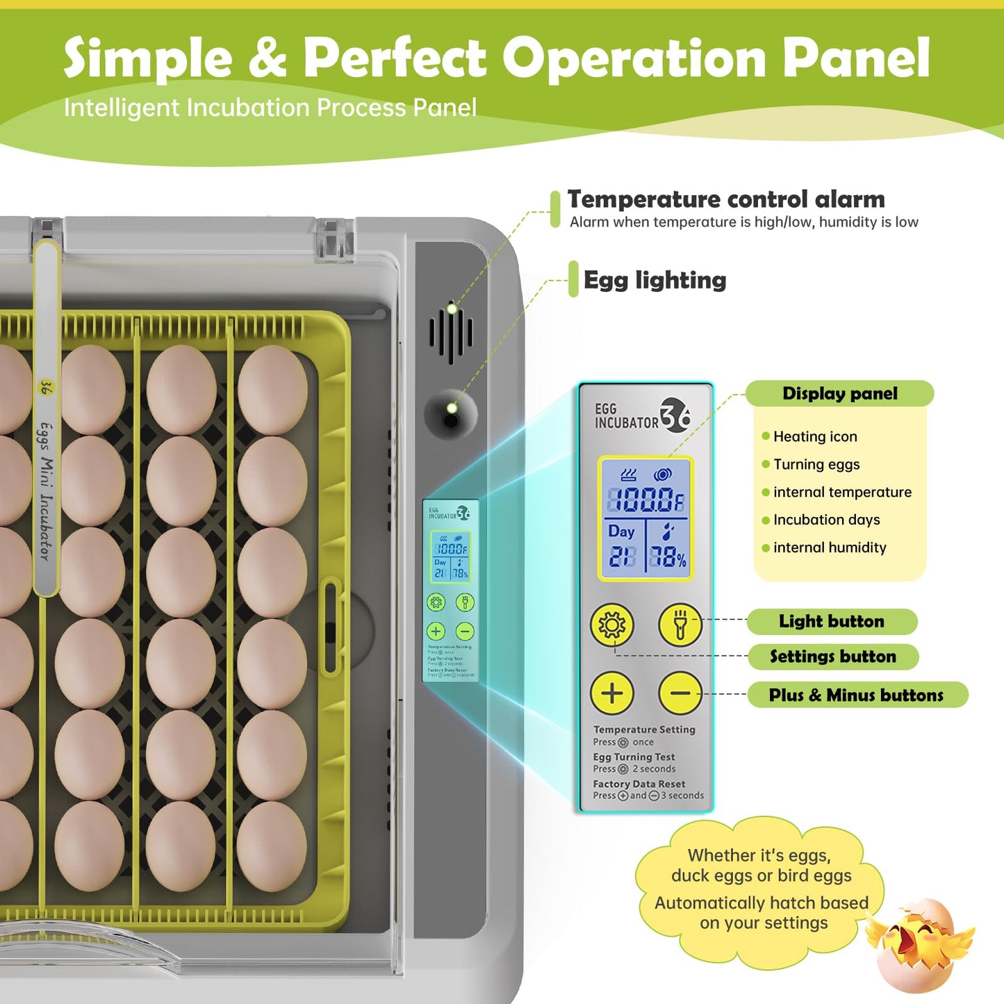 Egg Incubator for Hatching Chicks, 36 Eggs Automatic Turner with Temperature & Humidity Control, Multifunctional Ultra-Clear Panoramic View with Hatch Days & Egg Candler for Chicken, Duck, Goose, Bird