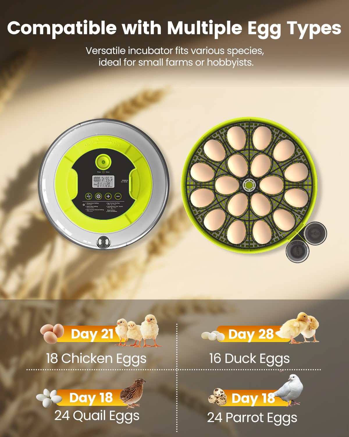 Incubator for Hatching Eggs, 18 Eggs Capacity, Incubators with Egg Candler, Automatic Egg Turner, Temperature & Humidity Control, Full Viewing for Chicken, Duck, Quail, Goose, Parrot, Pigeon
