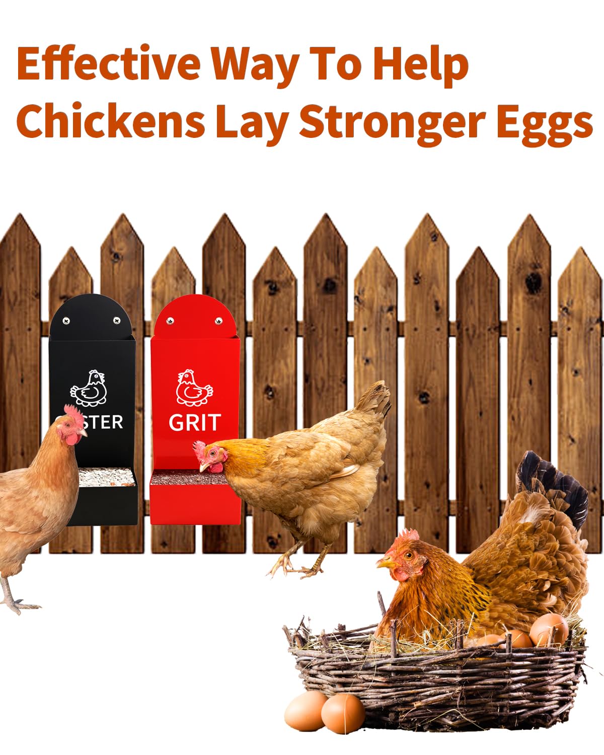 Chicken Oyster Shell Feeder and Grit Feeder Metal Chicken Feeder Chicken coop Accessories Automatic Chicken Feeder