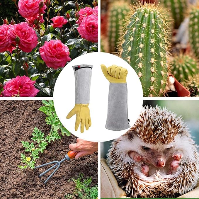 Rose Pruning Gloves for Men/Women, Long Gardening Gloves Thorn Proof, Cactus Glove, Goatskin Leather Planting Gauntlet Garden Working Glove, Gardening Gifts for Gardeners (Small)