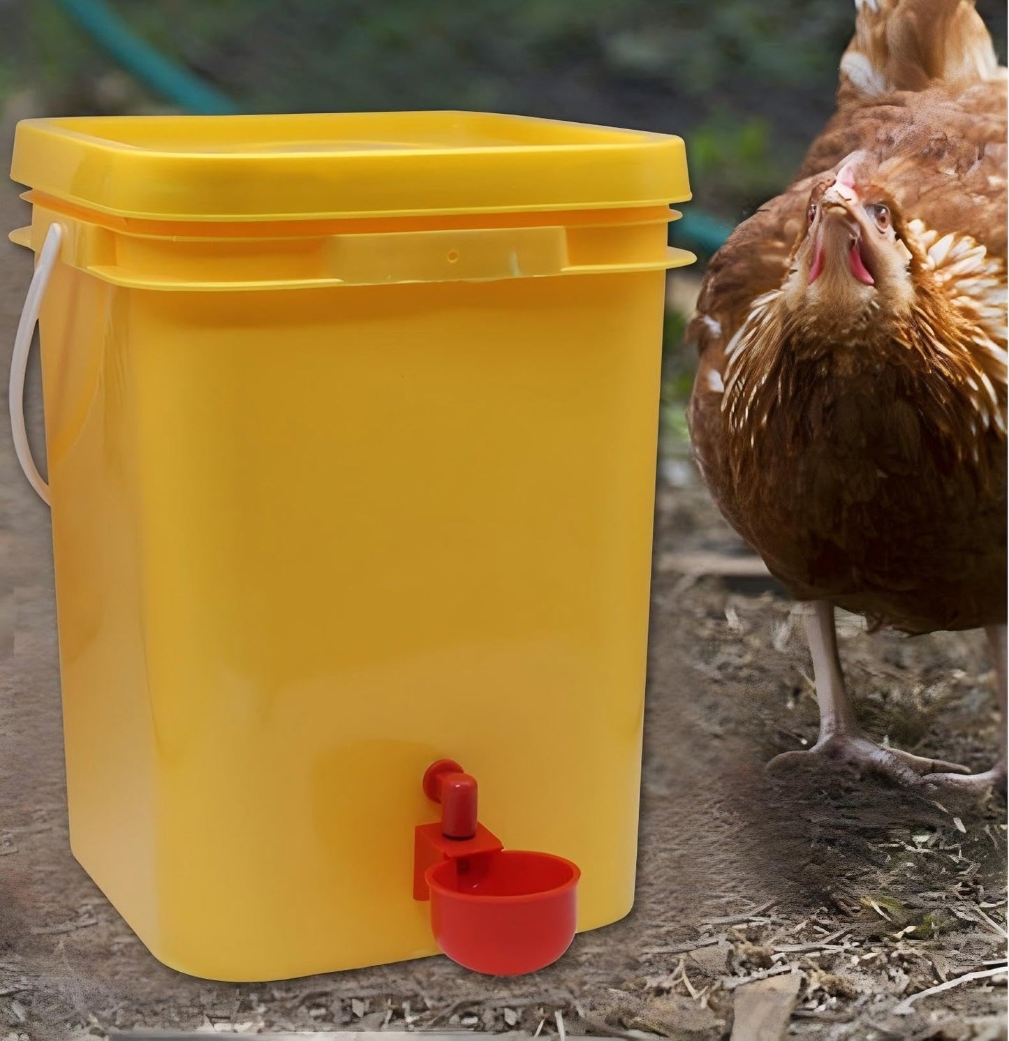 Chicken Waterer Cups, Automatic Chicken Drinkers, Chicken Water Dispenser,Poultry Drinker Set with Drill (Red, 24 Pack)