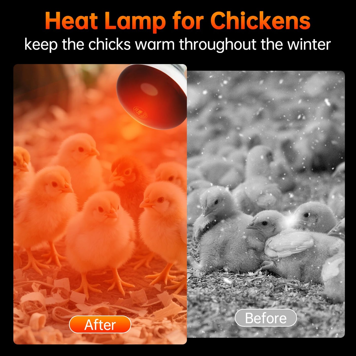 LUCKY HERP Heat Lamp for Chickens, 250 Watt Red Heat Lamp Bulbs, Infrared Heat Lamp for Chickens, Chicks, Reptile, Pets, Brooder Coop, Poultry (2 Pack)