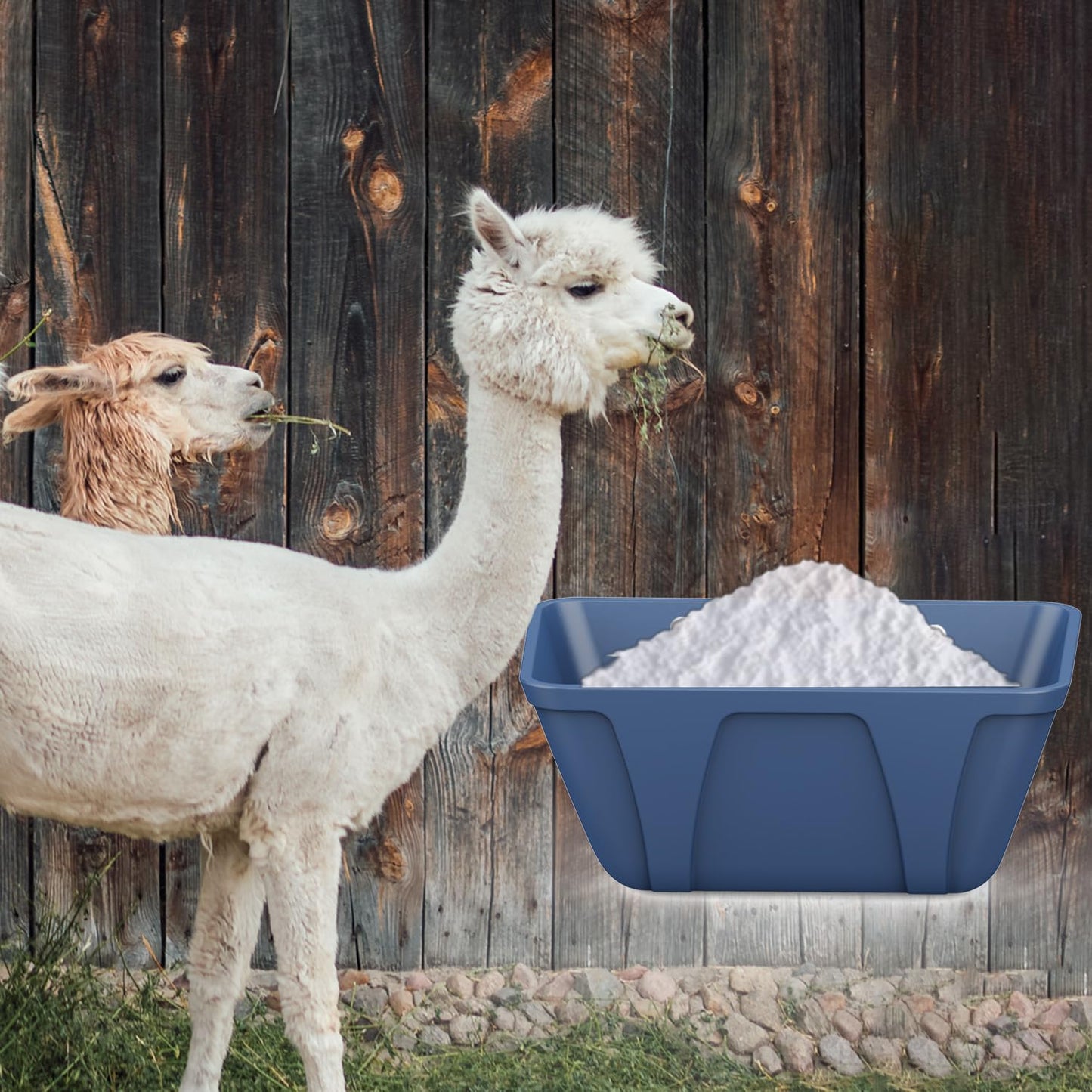 mozoba Hanging Chicken Feeder Trough for Goat Sheep Deer Poultry Duck Chicken Fence Feeder Livestock Feeding Container Goats Supplies Feeders Waterer Bucket (Dark Blue)