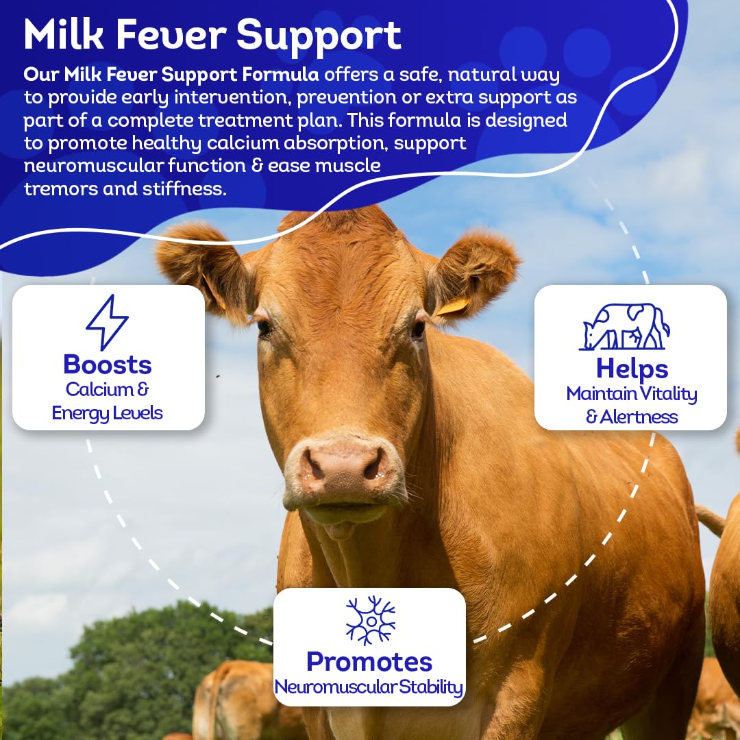 HA4E - Cow Milk Fever Support - Boosts Calcium & Energy Levels and Promotes Vitality & Alertness - All-Natural, Homeopathic Formula - 300+ Tablets
