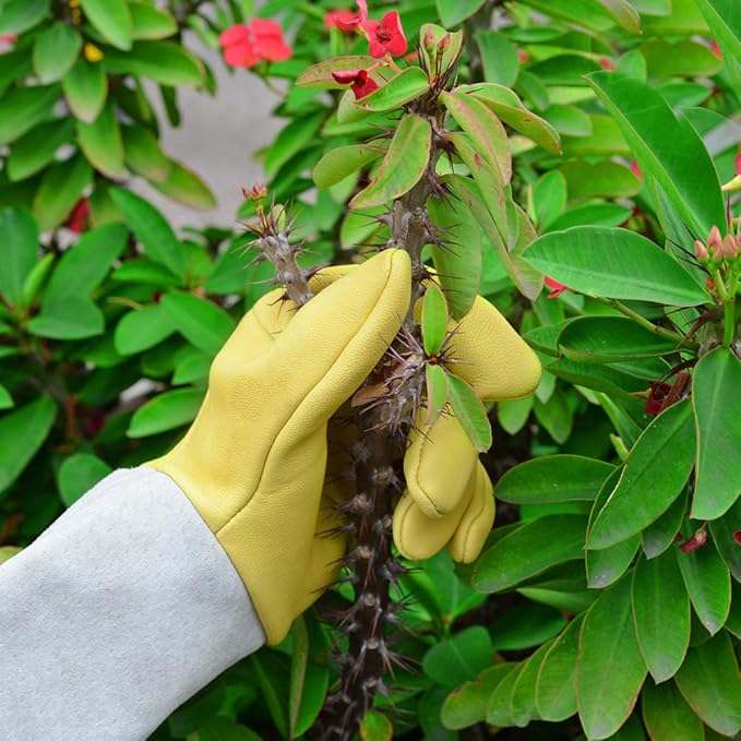 Rose Pruning Gloves for Men/Women, Long Gardening Gloves Thorn Proof, Cactus Glove, Goatskin Leather Planting Gauntlet Garden Working Glove, Gardening Gifts for Gardeners (Small)