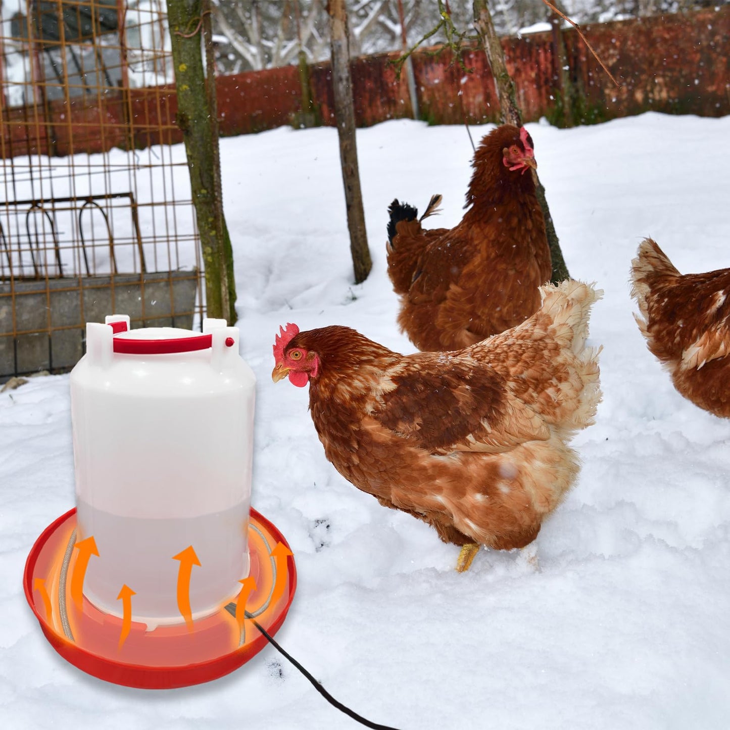 Heated Chicken Waterer Cord – Freeze-Proof Poultry Water Heater for Winter, Prevents Water Freezing in Drinkers for Chickens, Ducks, Rabbits & Small Animals - 1 Pack (Excluding Chicken Waterer)