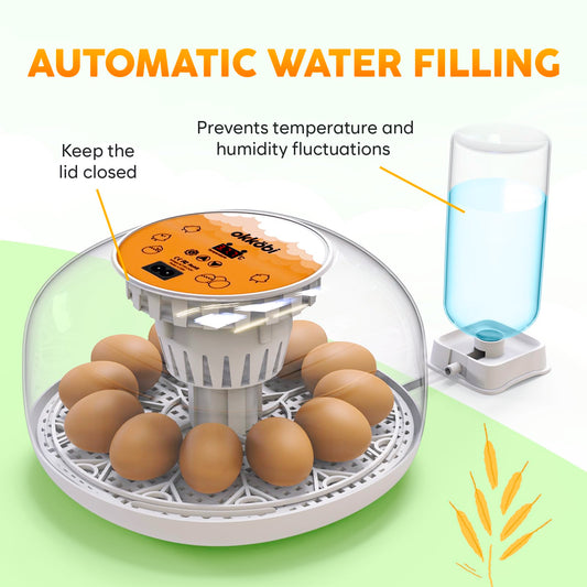 Okkobi M12 Egg Incubator with Automatic Turner and Humidity Control - 12/24 Eggs, 360° View, Easy to Use and Clean - Incubadora de Huevos de Gallina - Made for US - White & Orange