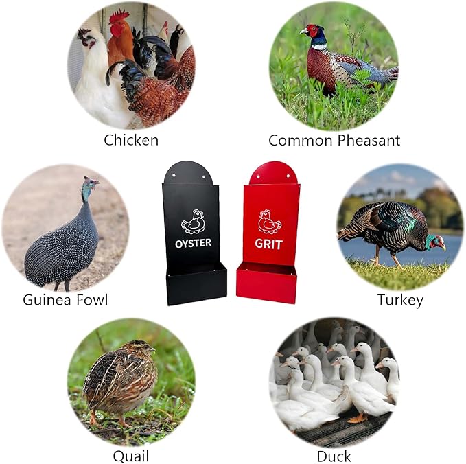 2PS Metal Chicken feeders, Oyster Shell and Grit Feeder, Large Capacity Chicken coop Accessories for Rust Prevention, Comes with Installation Tools, Suitable for breeding Farms and Farms
