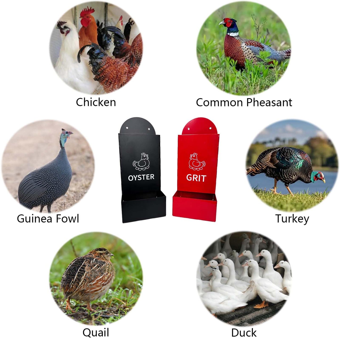 2PS Metal Chicken feeders, Oyster Shell and Grit Feeder, Large Capacity Chicken coop Accessories for Rust Prevention, Comes with Installation Tools, Suitable for breeding Farms and Farms