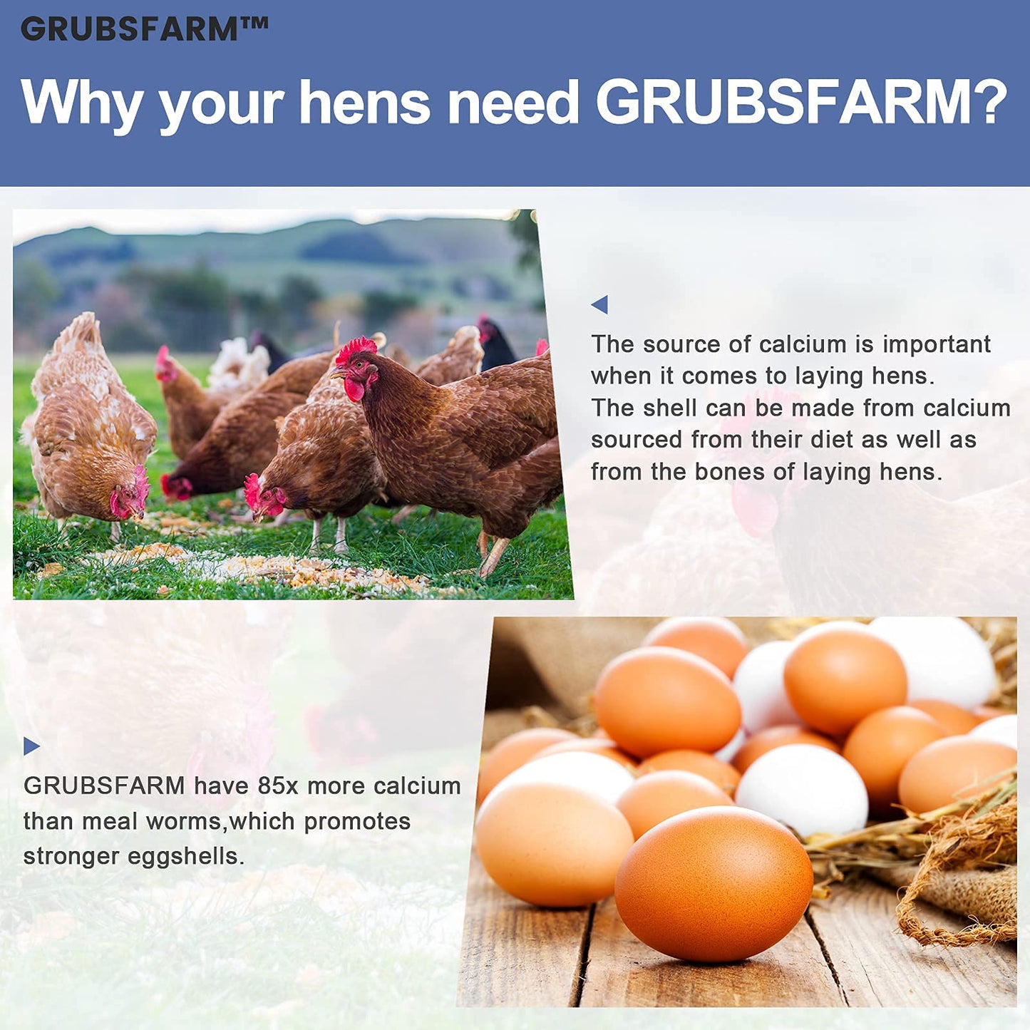 GRUBSFARM Superior to Dried Mealworms for Chickens 5lb - 85X More Calcium Than Mealworms - Non-GMO Chicken Feed - Molting Supplement - BSFL Treats for Hens, Ducks, Turkeys, Wild Birds, Quails