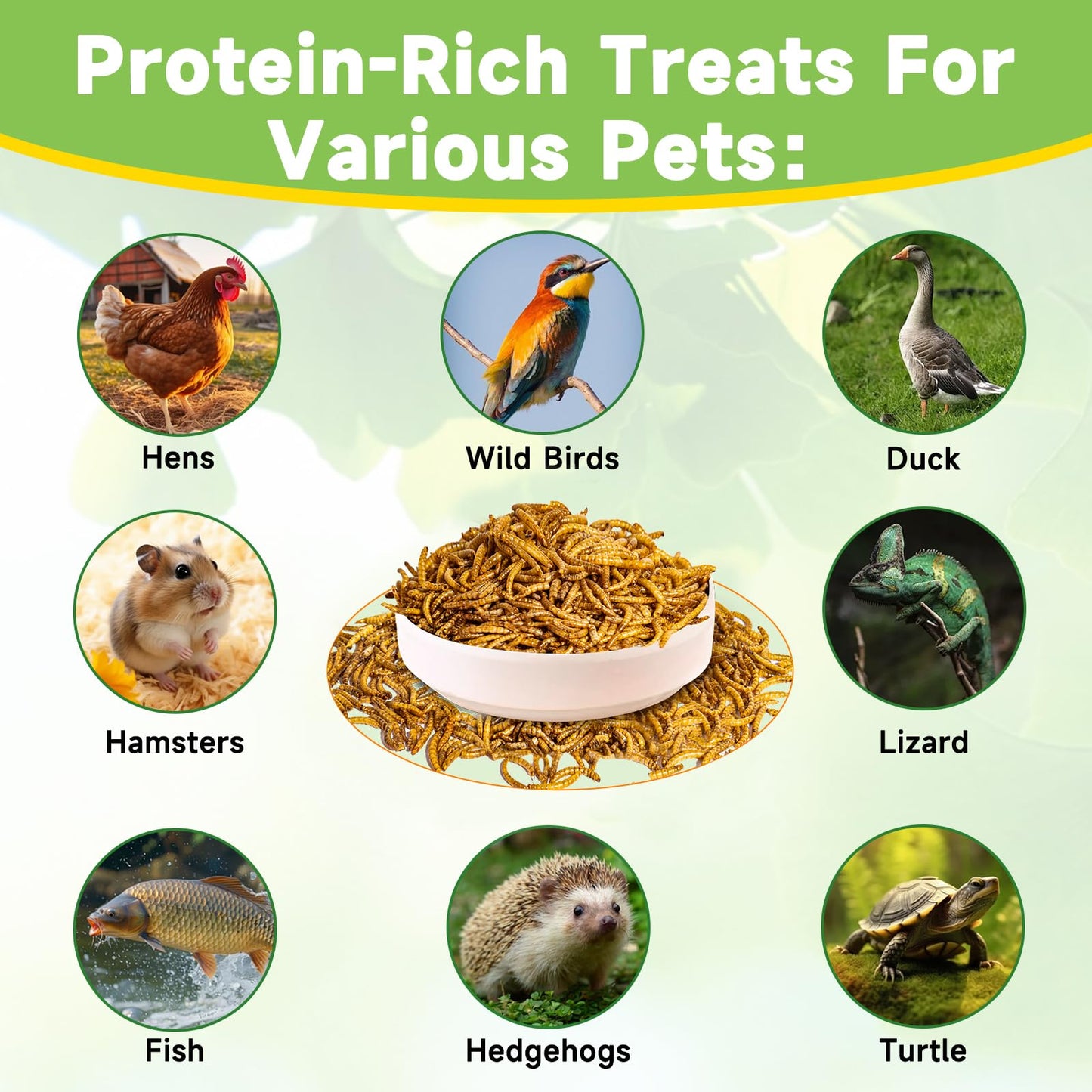 MTART 600g Dried Mealworms Treat for Chicken, 100% Natural Non-GMO High Protein Organic Chicken Feed for Birds, Ducks, Layer Hens