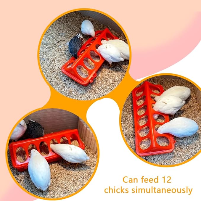 Chicken Feeder and Water Set, Including 2 Automatic Feeding Buckets, 2 Automatic Feeding Buckets, 10 Automatic Drinking Bowls, 6 Automatic feeders, and 5 Feeding and Feeding troughs