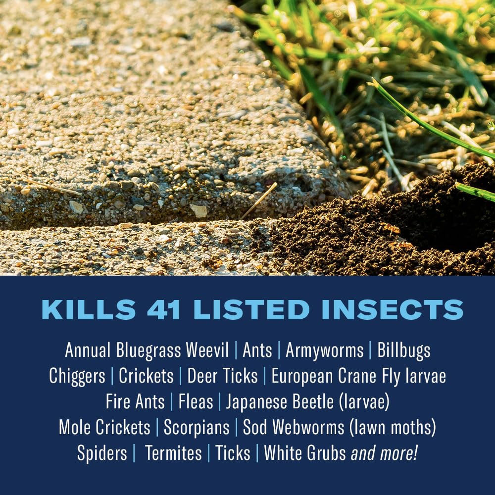 BioAdvanced Complete Brand Insect Killer for Soil and Turf, Granules, 10 lb, Outdoor Ant Killer