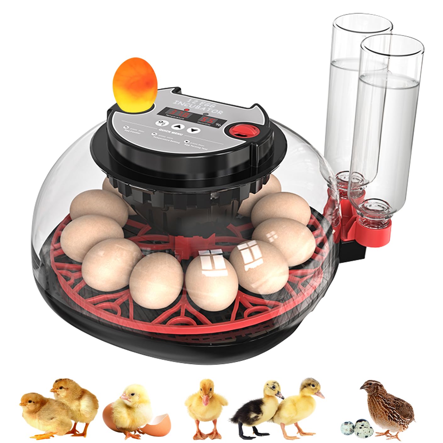 Incubators for Hatching Eggs: Chicken Quail Duck Bird Chick Egg Incubator kit with Automatic Egg Turner & Humidity Display,360 Incubator hatcher for Turkey Parrot Goose 12-24 Egg