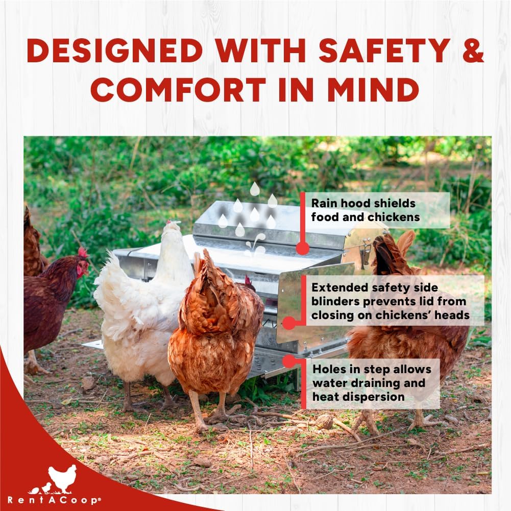 RentACoop Automatic Metal Treadle Feeder - Outdoor Use, Rainproof - Suitable for Chicken, Bantams, Poultry, Pheasants, etc. - 25lb Capacity
